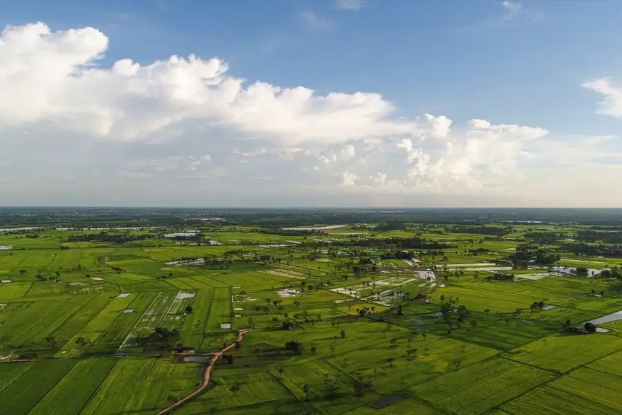 The Aurelia Khopoli Images The Aurelia Khopoli Images