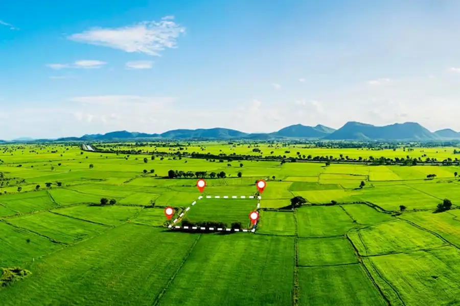 The Aurelia Khopoli Images The Aurelia Khopoli Images