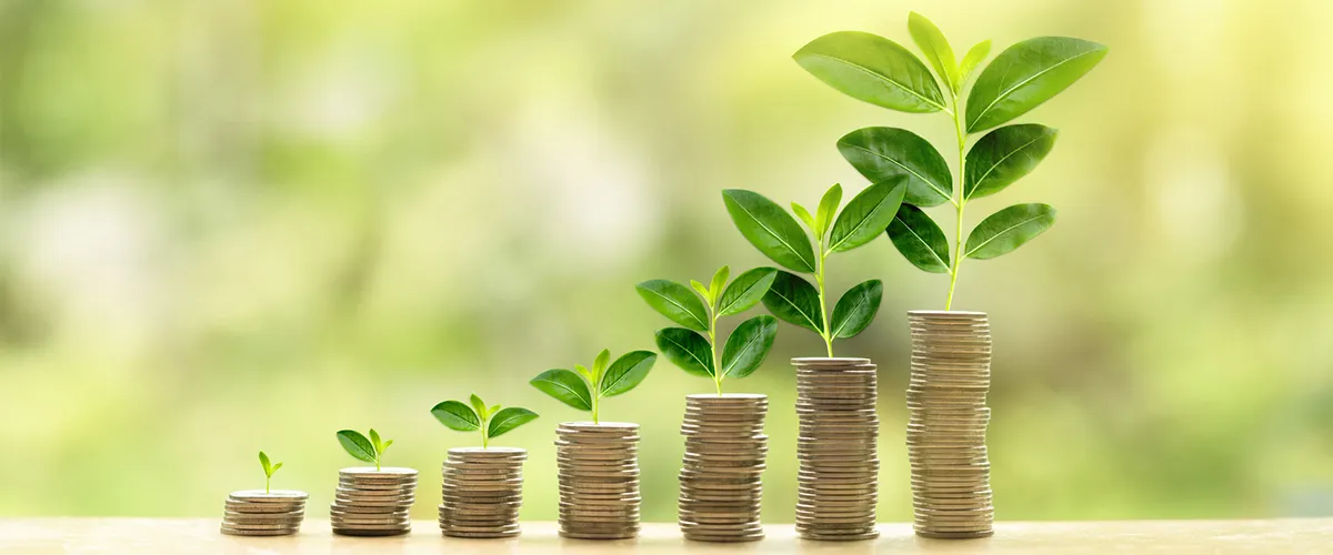 Alliance Siddhi Green Living In Residential Projects Alliance Siddhi Green Living In Residential Projects