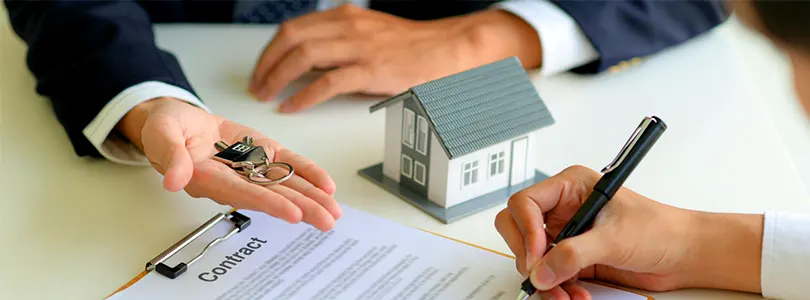 Blossom Shilphata Blog Insider