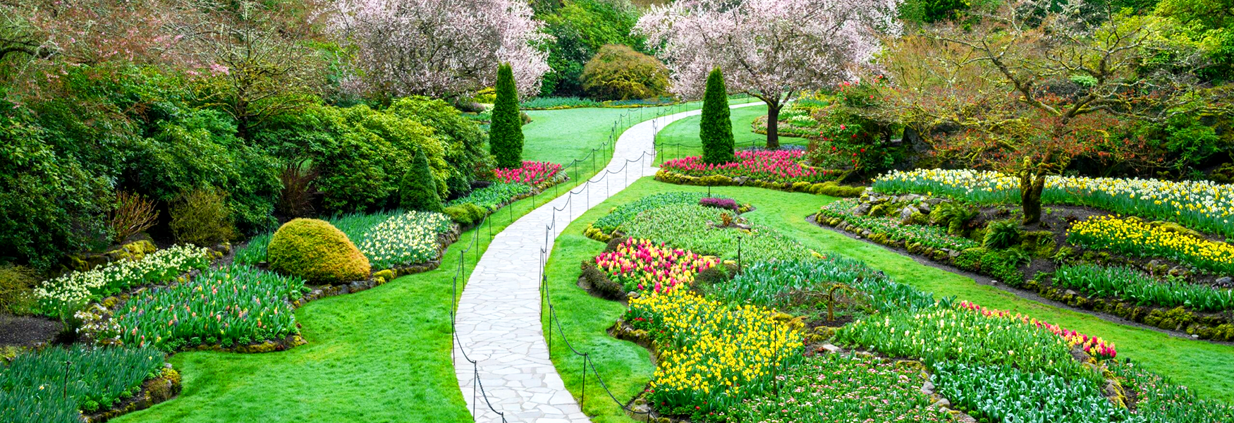 The View Belapur Images